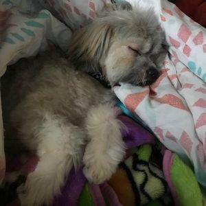 Meet your Posher, Jack